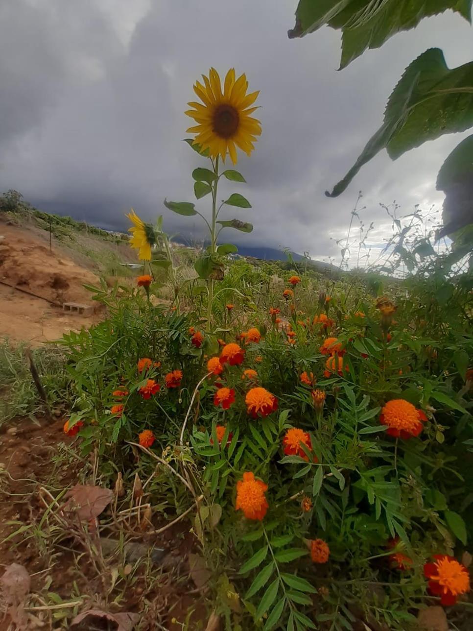 Finca De Luna Ла-Оротава Екстер'єр фото